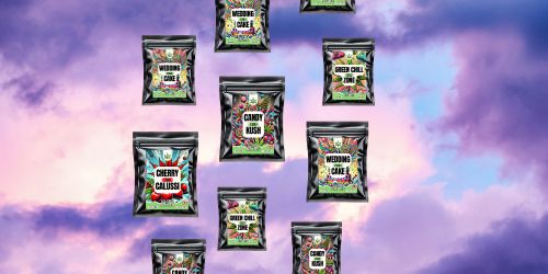 CBD Blüten abgepackt