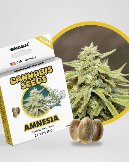 Amnesia Cannabis Samen