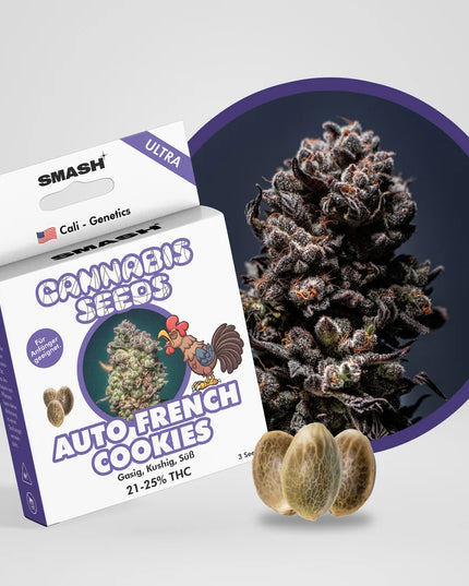 French Cookies Autoflower Cannabis Samen