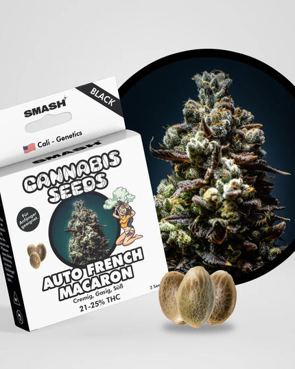French Macaron Autoflower Cannabis Samen