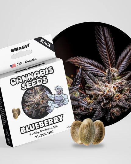 Blueberry Cannabis Samen