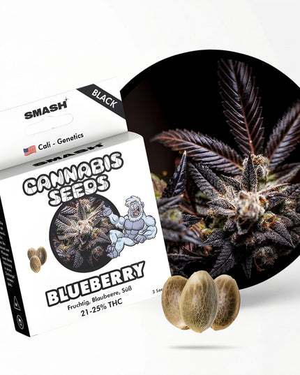 Blueberry Cannabis Samen