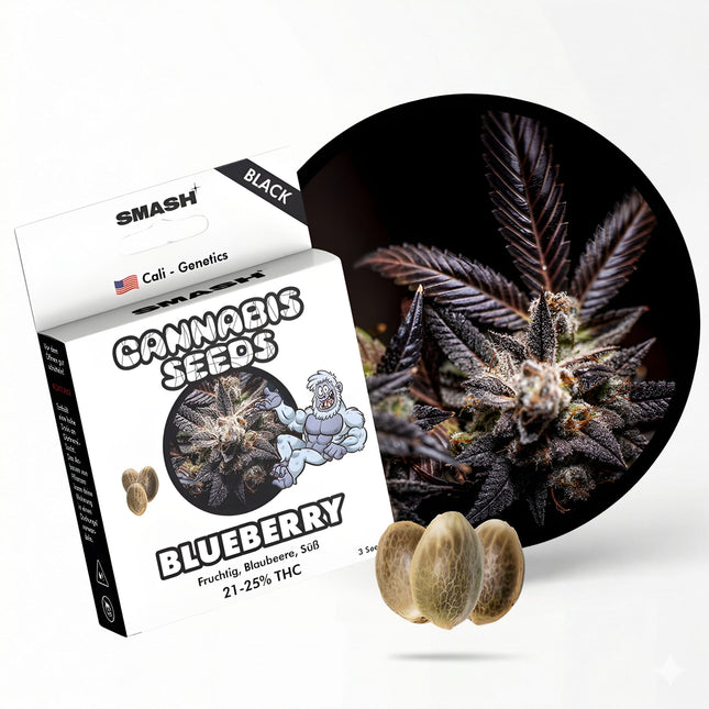 Blueberry Cannabis Samen
