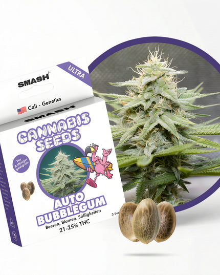 Bubblegum Automatik Cannabis Samen