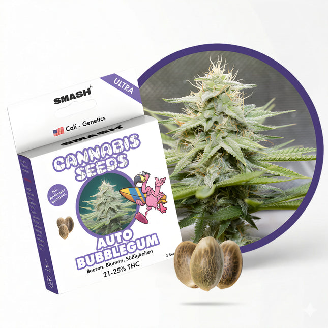 Bubblegum Automatik Cannabis Samen
