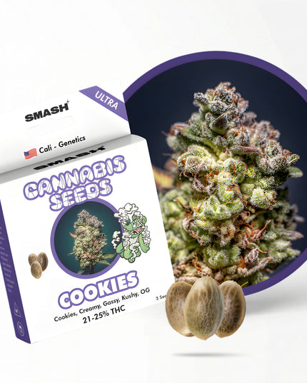 Cookies Cali Cannabis Samen