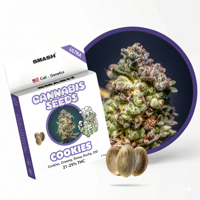 Cookies Cali Cannabis Samen