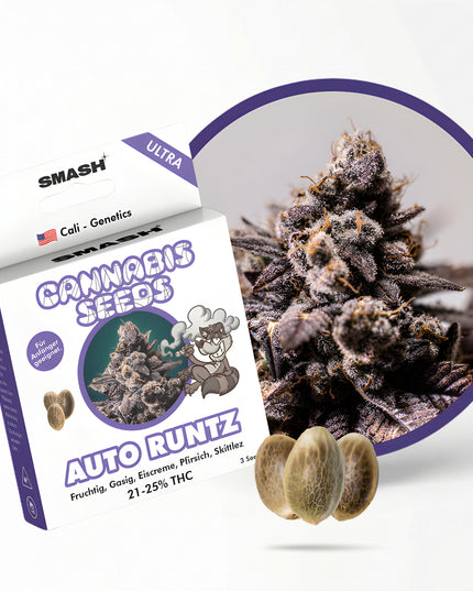 Runtz Auto Cannabis Samen