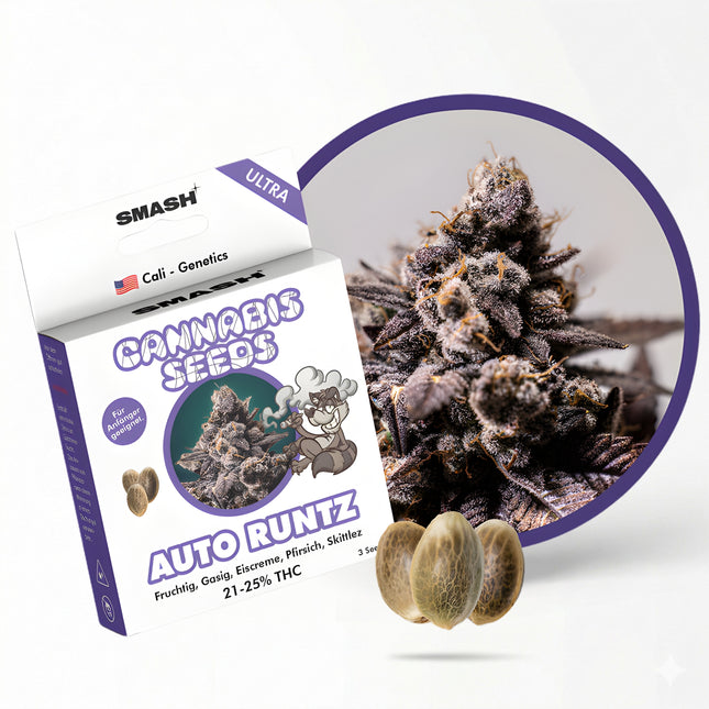 Runtz Auto Cannabis Samen