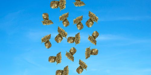 CBD Blüten Bulk