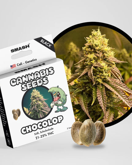Chocolope Cannabis Samen