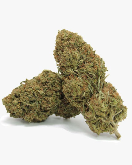 Fruit Cake CBD Blüten vom Großhändler