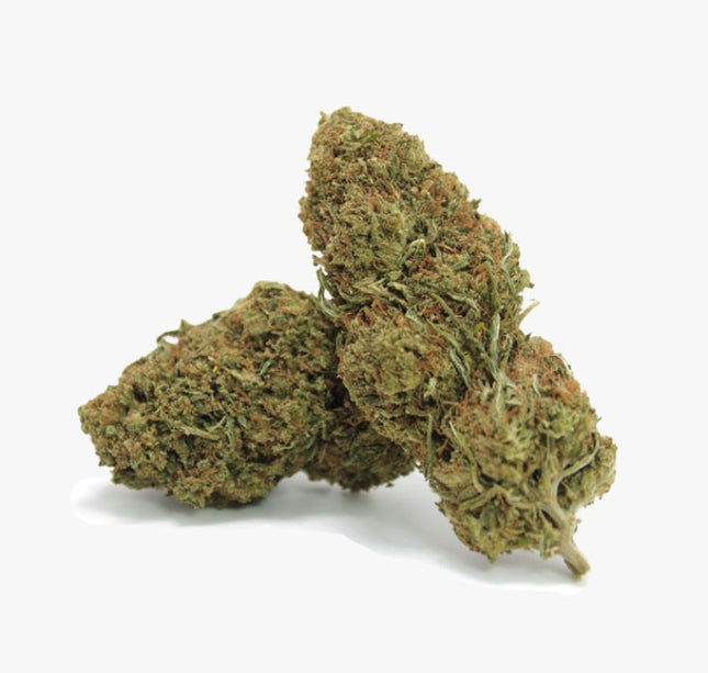 Fruit Cake CBD Blüten vom Großhändler